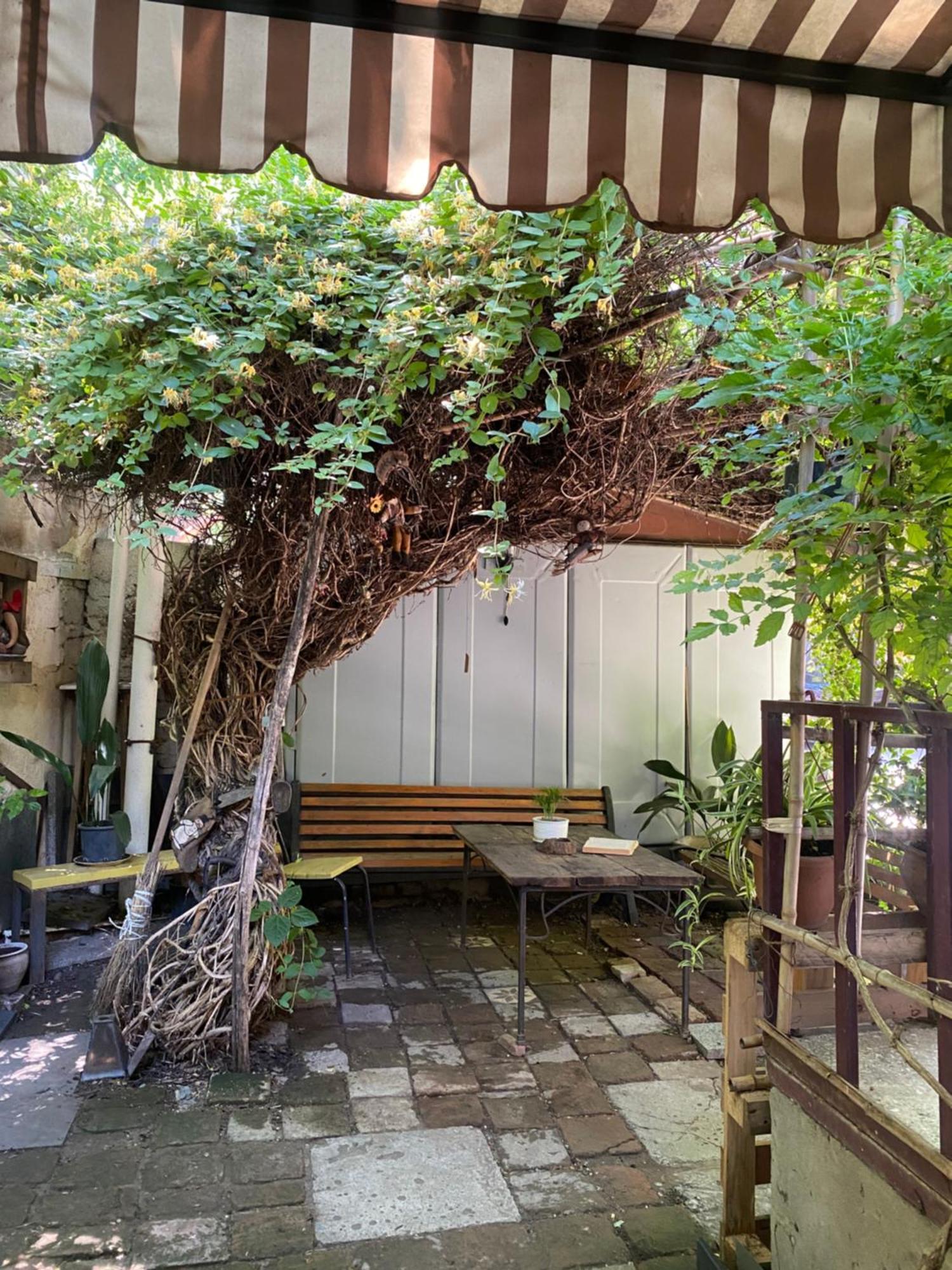 Cozy Zandukeli N15 - City Centre Tbilisi ภายนอก รูปภาพ